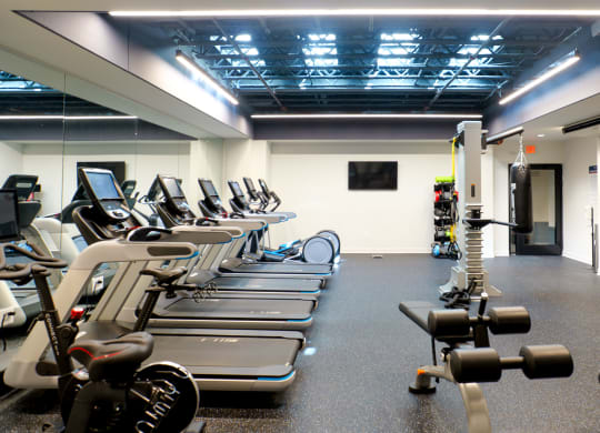 a gym with cardio equipment and weights on the floor at The Commonwealth Building, Pittsburgh, 15222