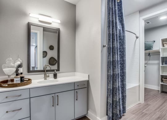 a bathroom with a sink and a mirror at Trailhead, Austin, 78721
