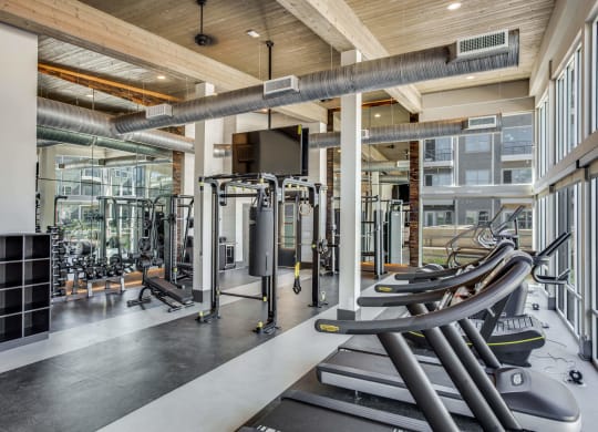 a gym with cardio equipment and weights at Trailhead, Austin, 78721