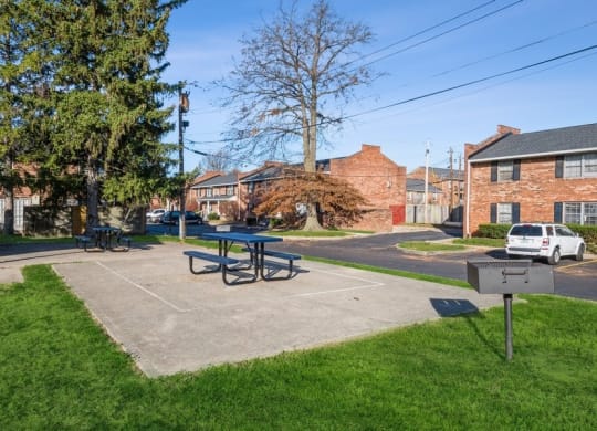 a picnic area with a picnic table and a grill
