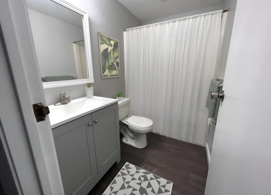 a bathroom with a shower and a sink and a toilet