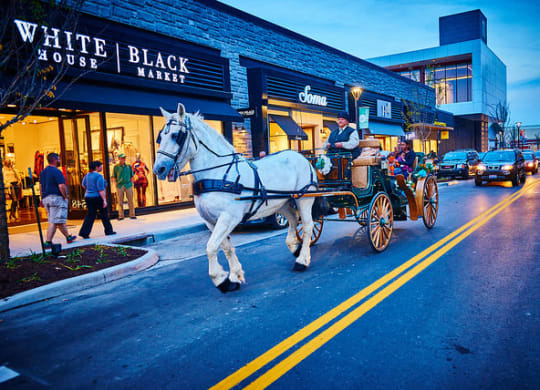 a white horse pulling a carriage down a city street