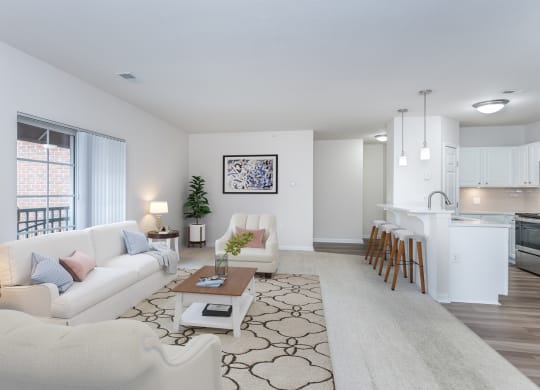Living And Kitchen at Roebling Row, Covington