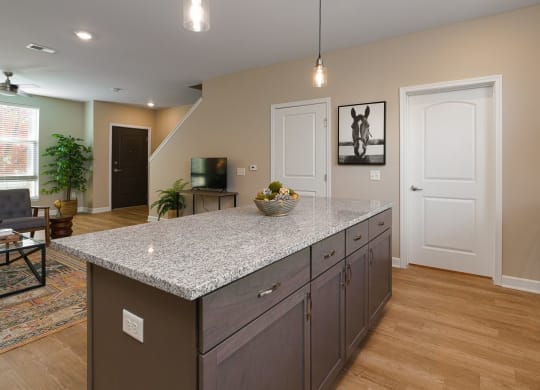 Granite Countertop at Adelphi Quarter, Ohio