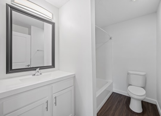a bathroom with a toilet and a sink and a mirror