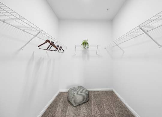 A room with a hanging sculpture, a potted plant, and a bench.