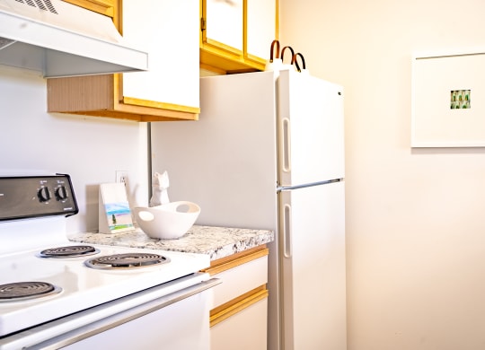 a kitchen with a stove and a refrigerator