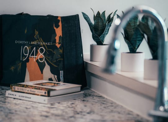 a bathroom sink with a book and plants on a shelf