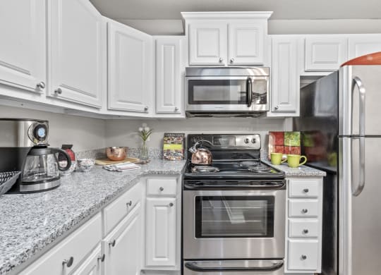 Fully Furnished Kitchen With Stainless Steel Appliances at Regency Place, North Carolina