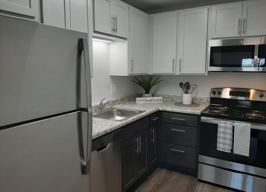 Back and White kitchen at SoDel, Kettering, OH