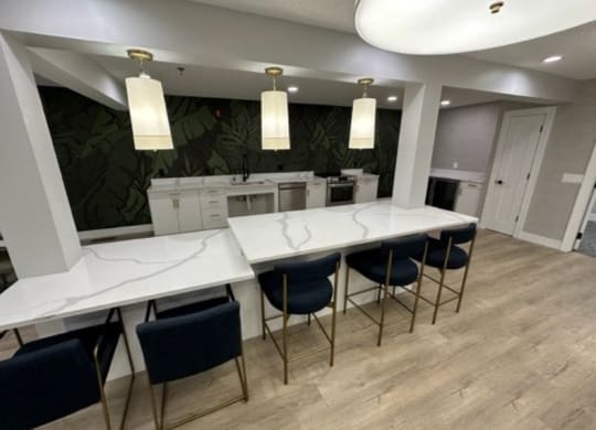a kitchen with a long counter and a bunch of chairs