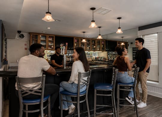 A group of people are gathered in a bar with a bartender behind the counter.