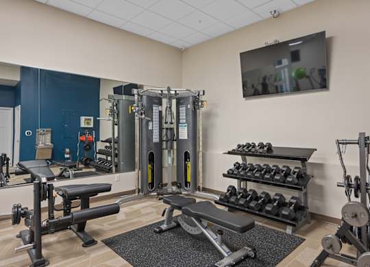 A gym with a variety of equipment including weights and a bench.