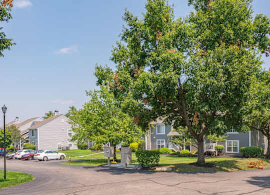 A tree with green leaves stands in front of a grey building.