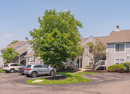 A tree in front of a house with a car parked in front of it.