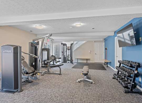 A gym with a variety of equipment including weights and a bench.