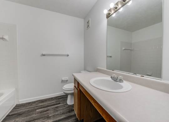 a bathroom with a sink and a mirror and a toilet