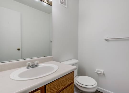 a bathroom with a sink and a toilet and a mirror