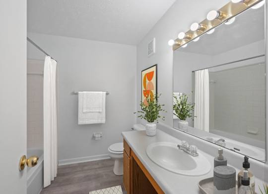 A bathroom with a white sink and a mirror above it.