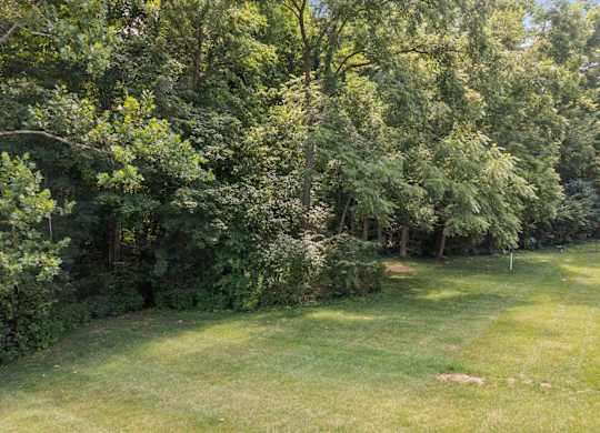A lush green garden with a well-maintained lawn and dense trees.