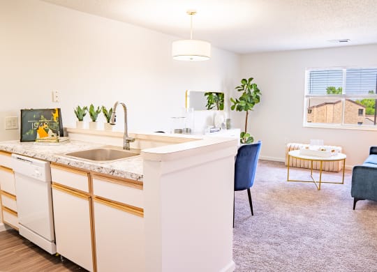a kitchen and living room with a couch and coffee table