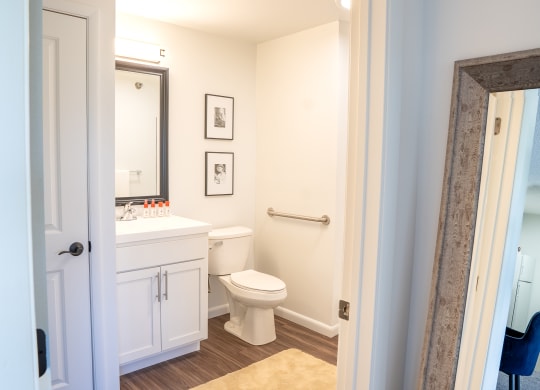 a bathroom with a toilet sink and mirror