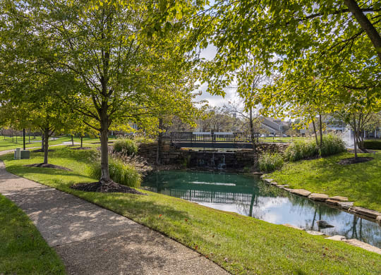 Lush green surroundings at Falls at Landen, Ohio