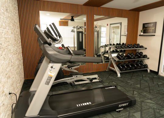 Treadmill and weights in a gym with a mirror at Honey Creek, Greenwood