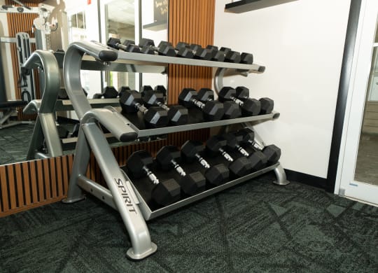 Row of weights on a rack in a gym at Honey Creek, Greenwood, IN
