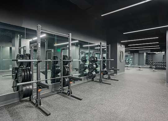 A gym with a variety of weightlifting equipment at Sky Central Apartments, Ohio