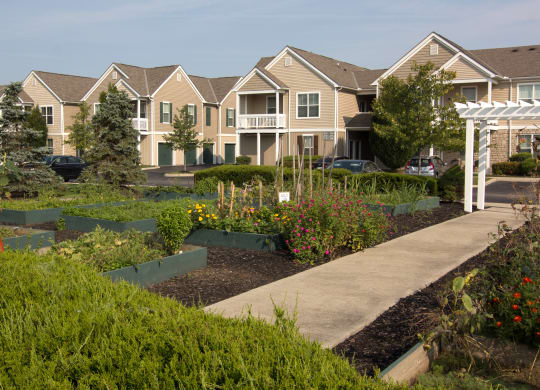 a community garden in front of a row of houses