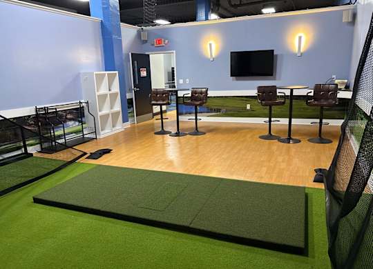 A room with a green mat and a black net.