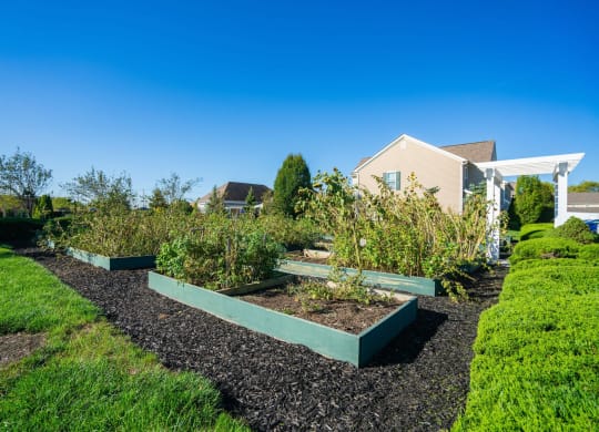 a garden with plants and a house in the background at Grove City Summit Apartments, Ohio