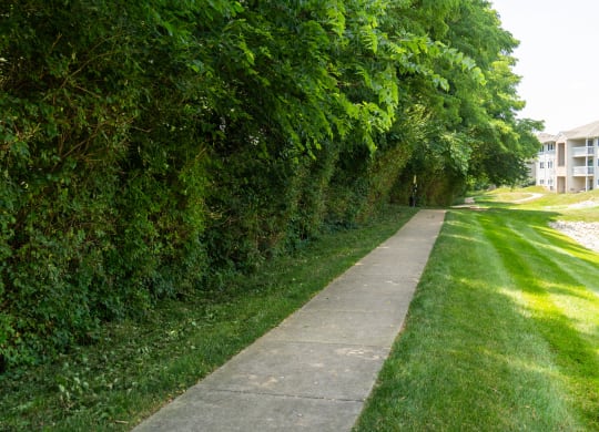 Sidewalk with trees and grass on both sides of it at Honey Creek, Greenwood, IN