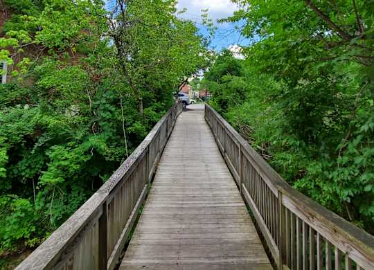 A wooden bridge leads through a lush green forest.