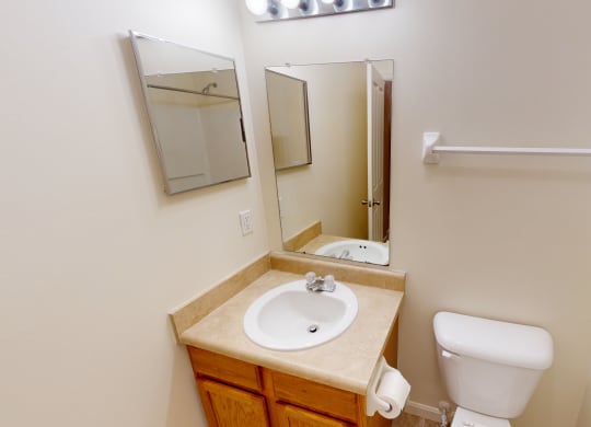 a bathroom with a sink and a mirror and a toilet