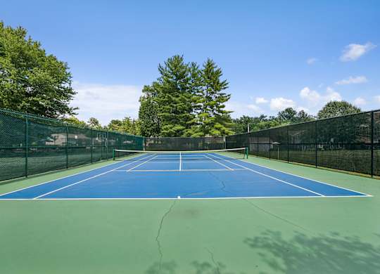 A tennis court surrounded by a fence and trees.