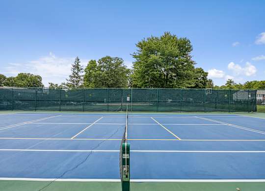 A tennis court with a net and trees in the background.