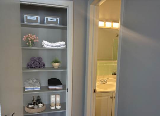 A bathroom with a towel and a plant on the shelf.