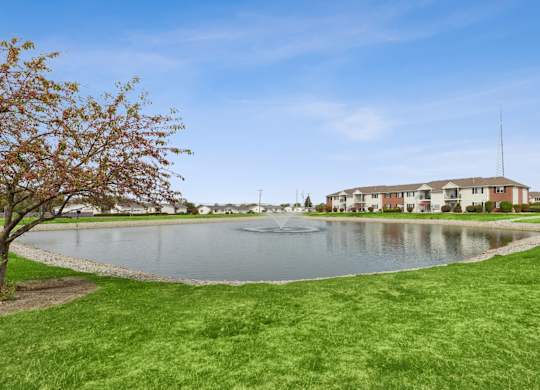 A tree with red leaves is in the foreground of a grassy area with a lake and a building in the background.