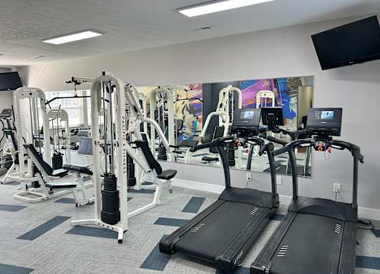 A gym with treadmills, weight machines, and a flat screen TV.