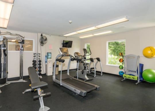 the gym is equipped with a variety of equipment