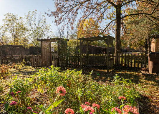 a garden with flowers and a wooden fence