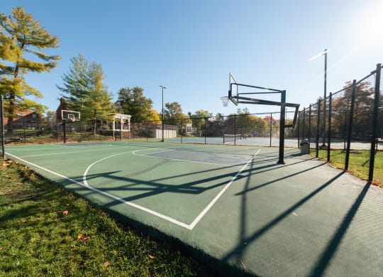 a basketball court in a park on a sunny day