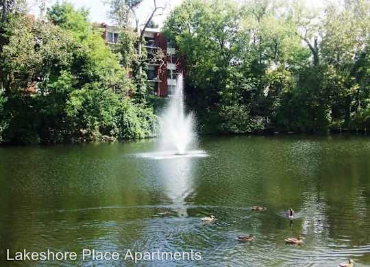 A fountain in the middle of a lake surrounded by trees and ducks.