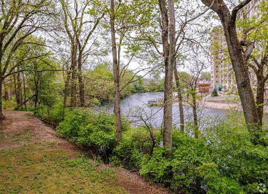 A path with green trees on the side of a river.