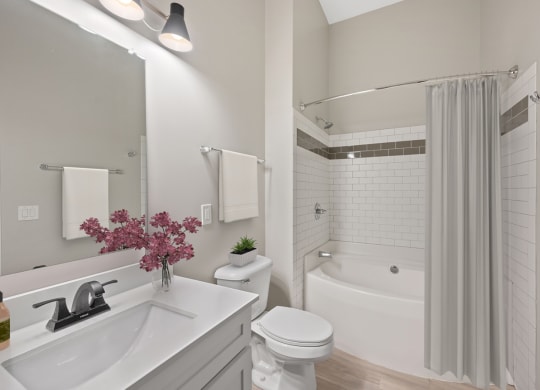 a white bathroom with a shower and a toilet and a sink