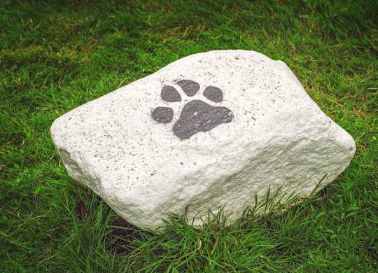 A stone with a painted paw print on it sits on grass.