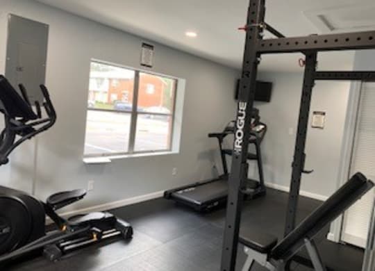 A gym with a treadmill, weights, and a squat rack.