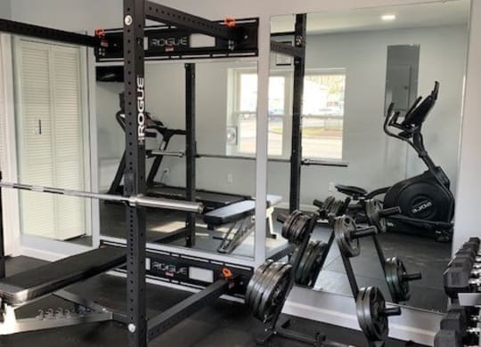 A gym with a squat rack, bench, and weights.